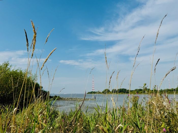 Blick auf Elbe vom Campingplatz Elbe Lühesand