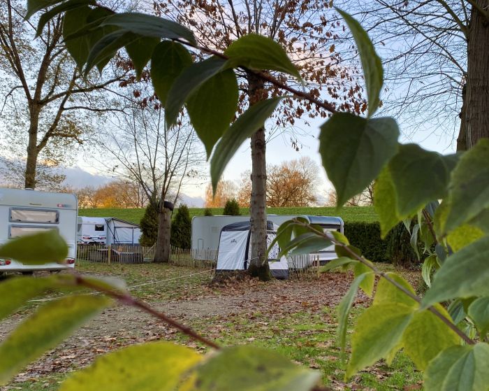 Dauercamping in der Natur bei Stover Holz Waldcamping in Drage