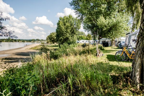 Wohnmobile mit Blick auf das Wasser auf dem Elbe Campingplatz Stover Strand