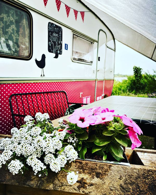 Rot weißer Retro StrandCamper Frollein Tabberta mit Sitzecke, Sonnensegel und Blumenbeet auf dem Wohnmobilpark Stover Strand an der Elbe bei Hamburg