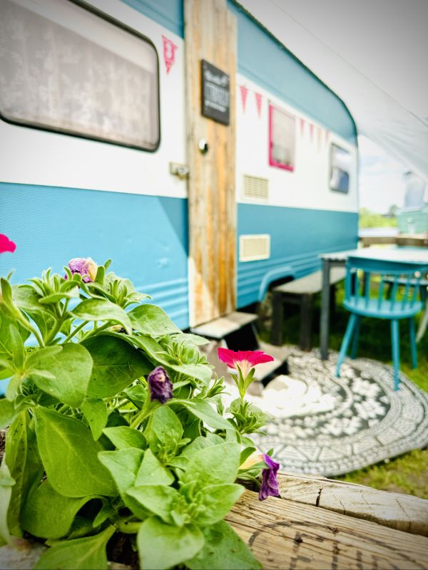 White turquoise retro camper with a sitting area and flower bed outside right on Stover Strand Camping