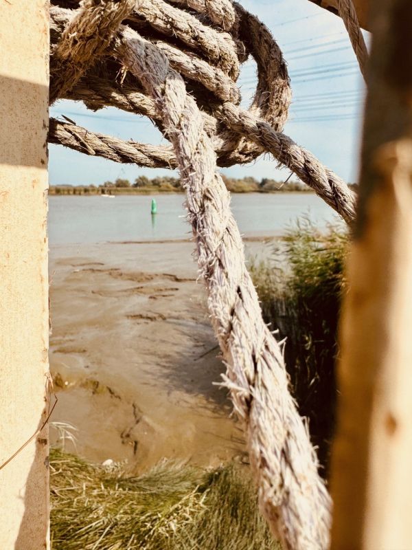 Blick auf Elbstrand beim Campingplatz Elbinsel Lühesand