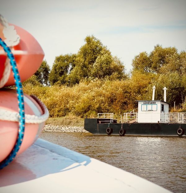 Blick von Elbe auf die Elbinsel Lühesand