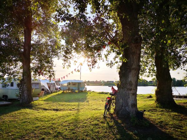 Mehrere Retro StrandCamper auf dem Campingplatz Stover Strand bei Hamburg